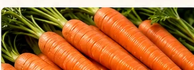Fresh carrots