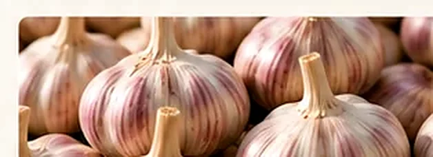 Fresh garlic