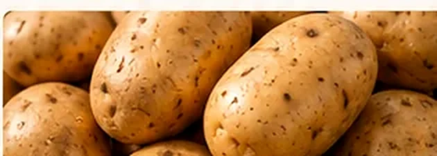 Fresh potatoes