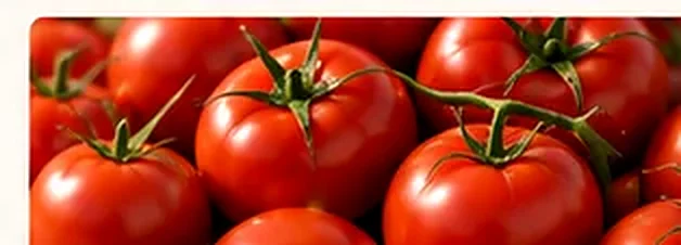 Fresh tomatoes
